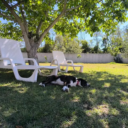 Visnja Hébergement de vacances *